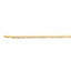 14K 5.5MM YELLOW GOLD SOLID PAVE CURB 18" CHAIN NECKLACE (AVAILABLE IN LENGTHS 7" - 30")